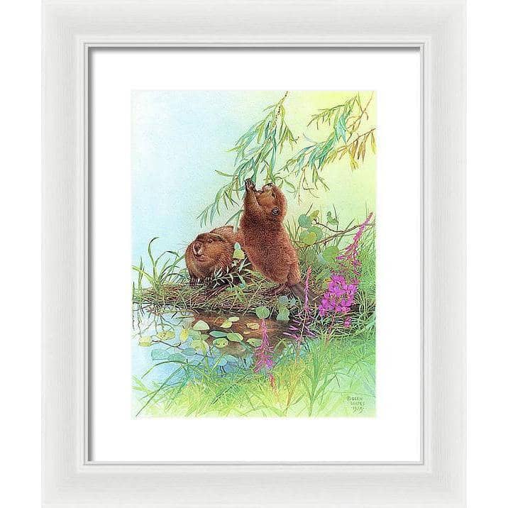 Beavers - Framed Print | Artwork by Glen Loates