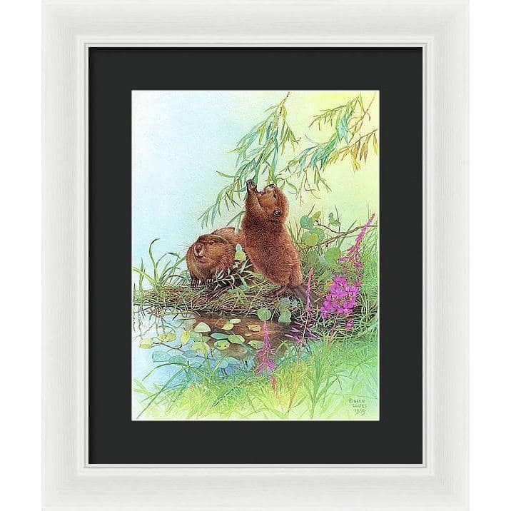 Beavers - Framed Print | Artwork by Glen Loates