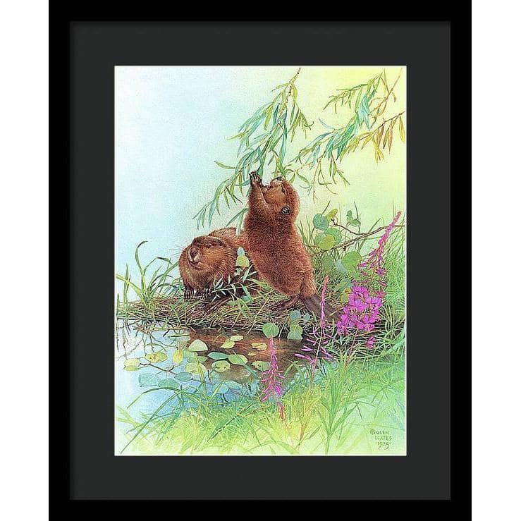 Beavers - Framed Print | Artwork by Glen Loates