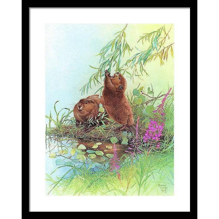 Beavers - Framed Print | Artwork by Glen Loates