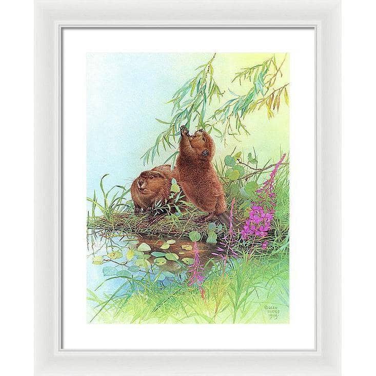 Beavers - Framed Print | Artwork by Glen Loates