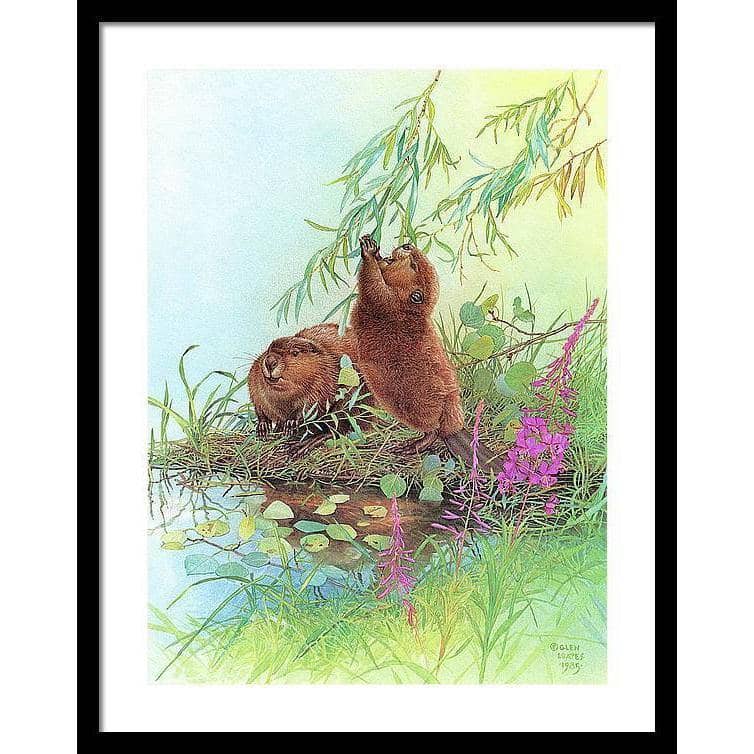 Beavers - Framed Print | Artwork by Glen Loates