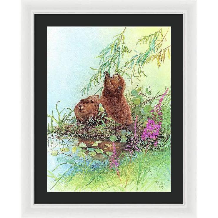 Beavers - Framed Print | Artwork by Glen Loates