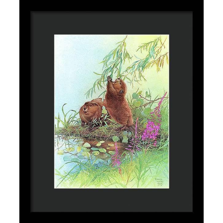 Beavers - Framed Print | Artwork by Glen Loates