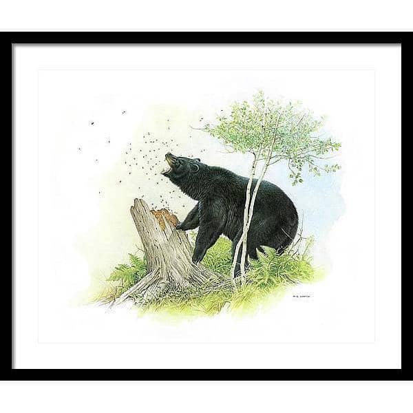 Black Bear and Honey Bees - Framed Print | Artwork by Glen Loates
