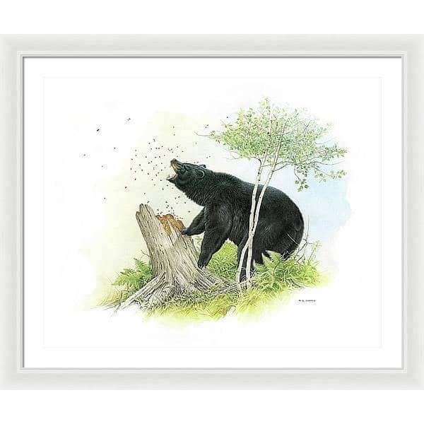 Black Bear and Honey Bees - Framed Print | Artwork by Glen Loates