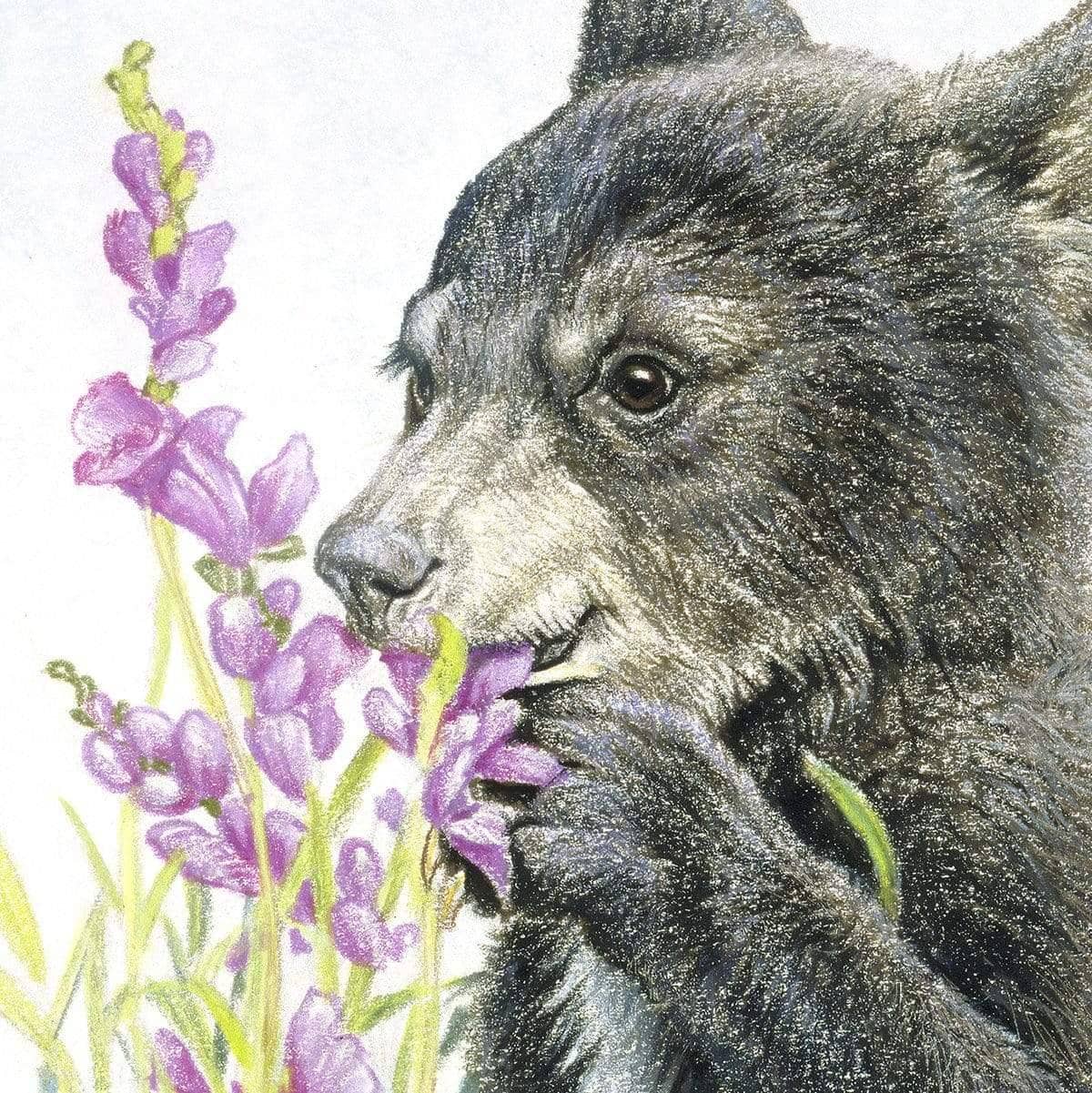 Black Bear Cubs in Grass - Art Print | Artwork by Glen Loates