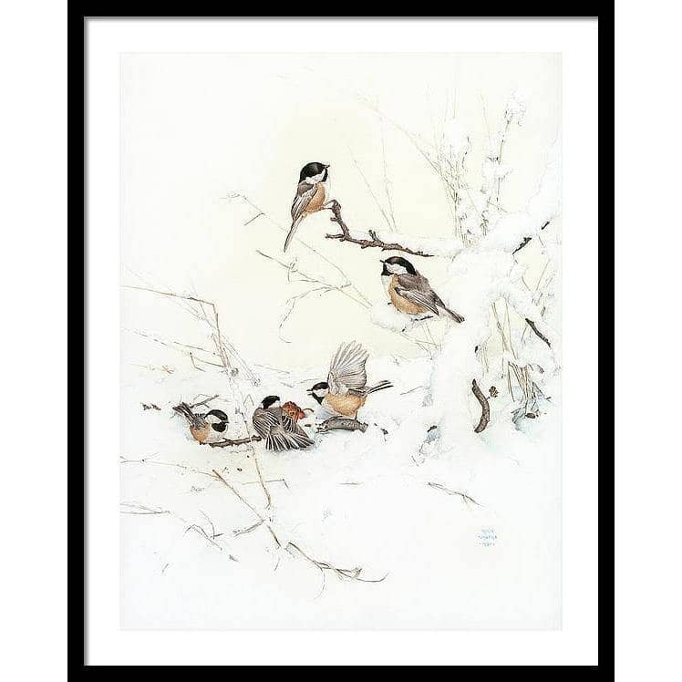 Black-Capped Chickadees - Framed Print | Artwork by Glen Loates