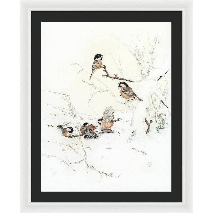 Black-Capped Chickadees - Framed Print | Artwork by Glen Loates