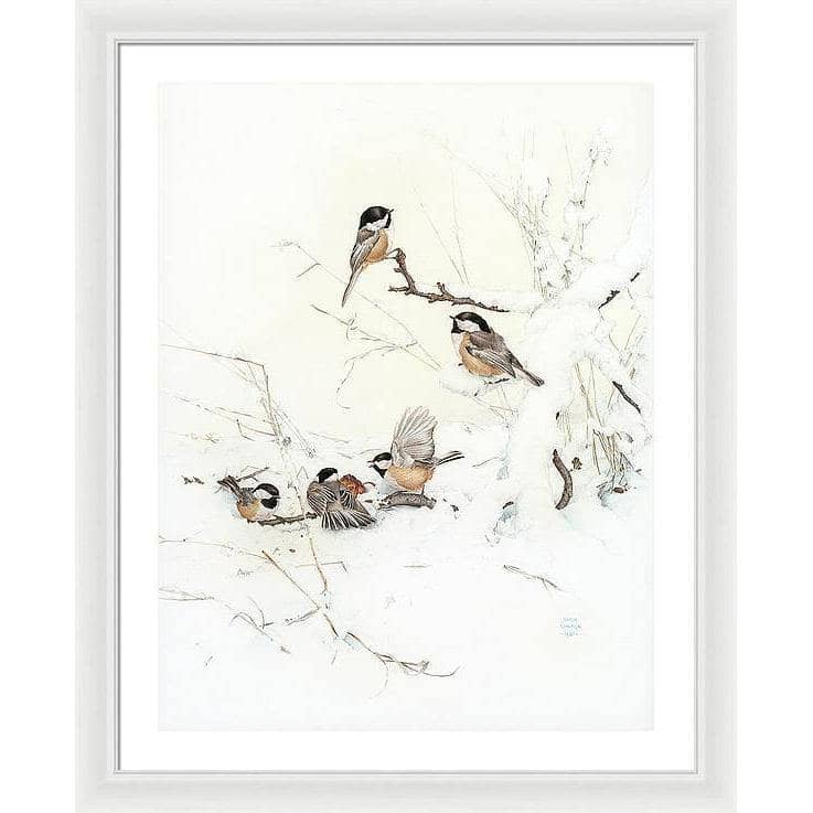 Black-Capped Chickadees - Framed Print | Artwork by Glen Loates