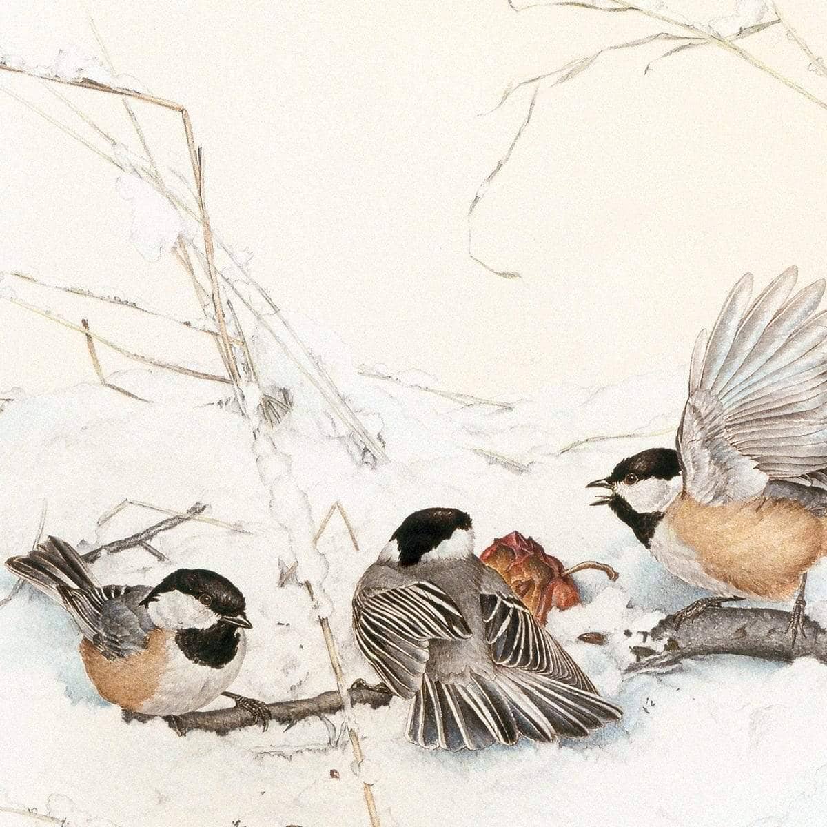 Black-Capped Chickadees - Framed Print | Artwork by Glen Loates