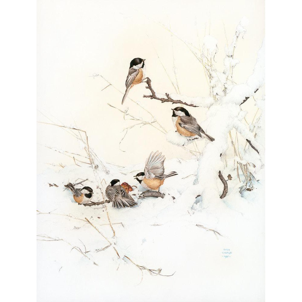 Black-Capped Chickadees - Framed Print | Artwork by Glen Loates