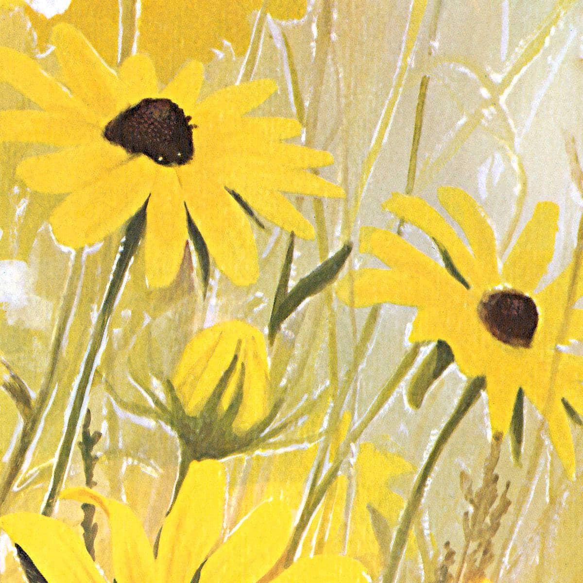 Black Eyed Susan - Art Print | Artwork by Glen Loates