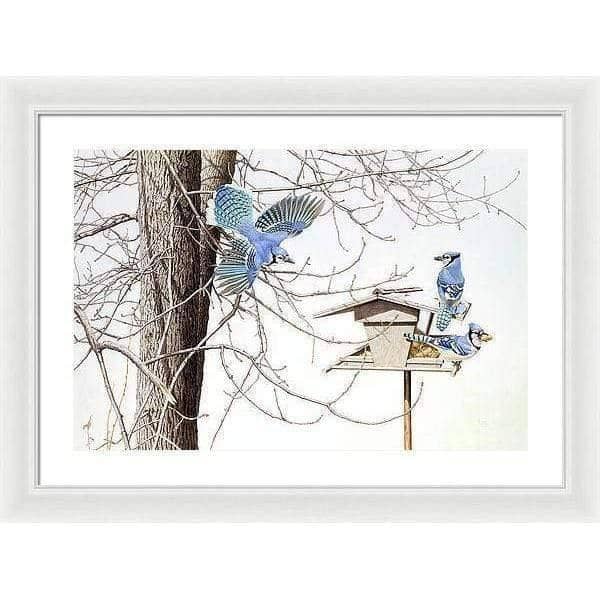 Blue Jays At My Feeder - Framed Print | Artwork by Glen Loates