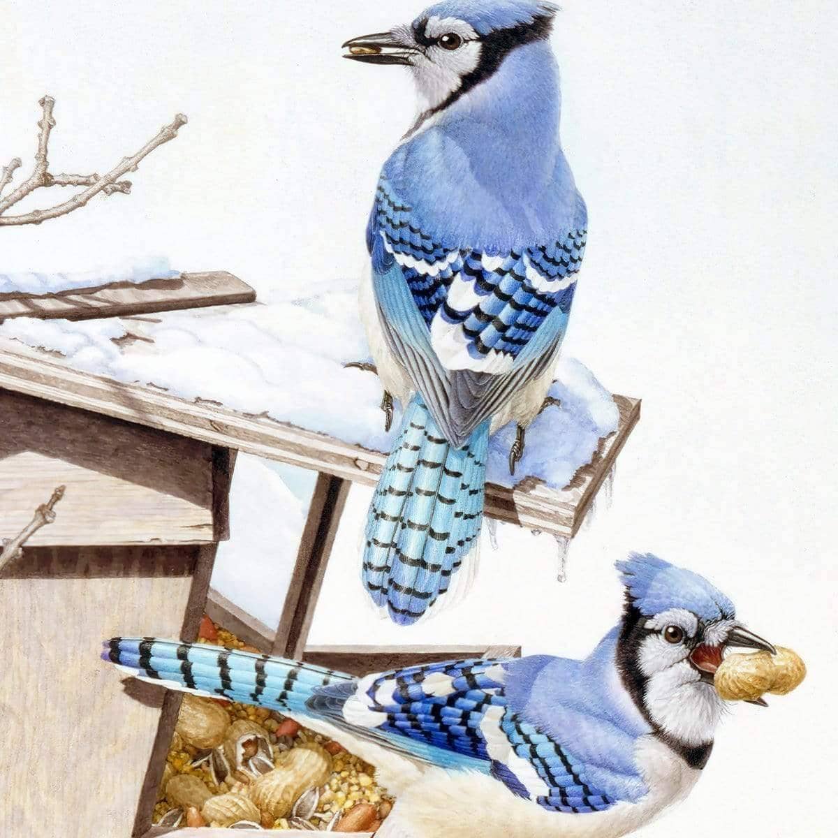 Blue Jays At My Feeder - Framed Print | Artwork by Glen Loates