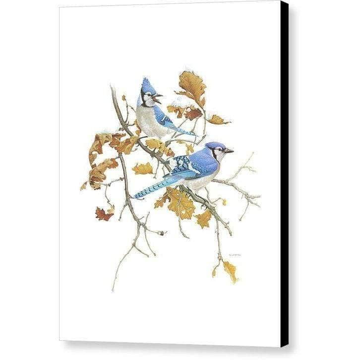 Blue Jays - Canvas Print | Artwork by Glen Loates
