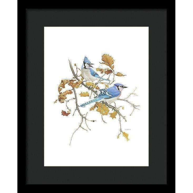 Blue Jays - Framed Print | Artwork by Glen Loates