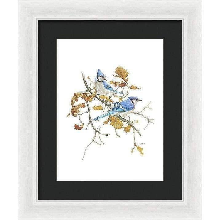 Blue Jays - Framed Print | Artwork by Glen Loates