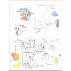 Giclée on Paper