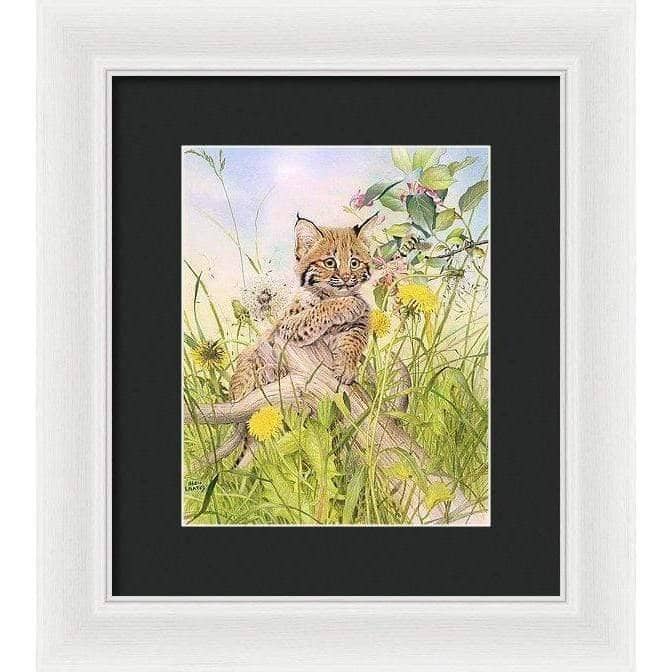 Bobcat Kitten - Framed Print | Artwork by Glen Loates