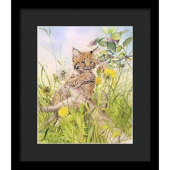 Bobcat Kitten - Framed Print | Artwork by Glen Loates