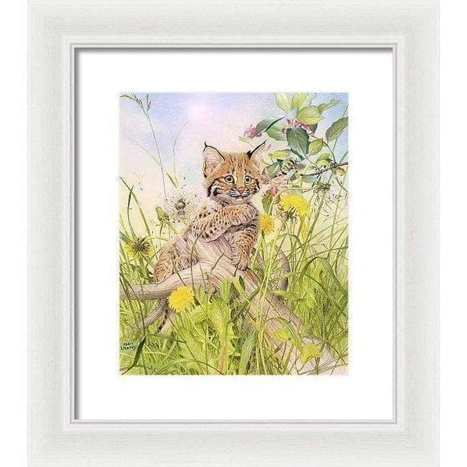 Bobcat Kitten - Framed Print | Artwork by Glen Loates