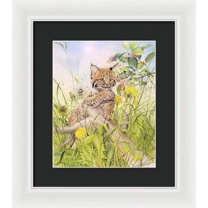 Bobcat Kitten - Framed Print | Artwork by Glen Loates