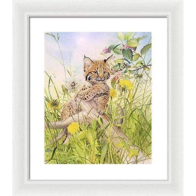 Bobcat Kitten - Framed Print | Artwork by Glen Loates