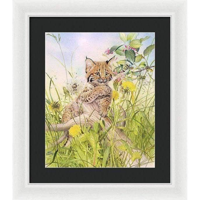 Bobcat Kitten - Framed Print | Artwork by Glen Loates