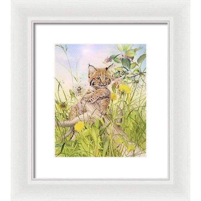 Bobcat Kitten - Framed Print | Artwork by Glen Loates