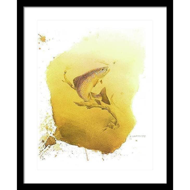 Brown Trout - Framed Print | Artwork by Glen Loates