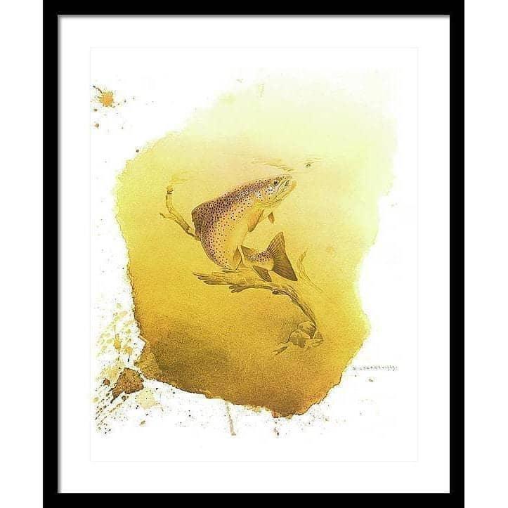 Brown Trout - Framed Print | Artwork by Glen Loates