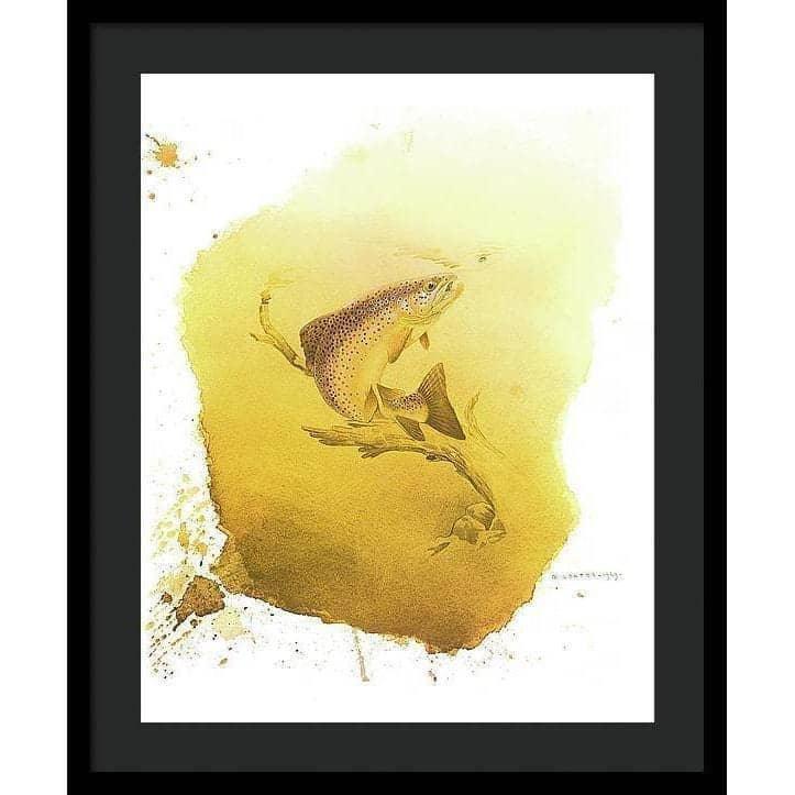 Brown Trout - Framed Print | Artwork by Glen Loates
