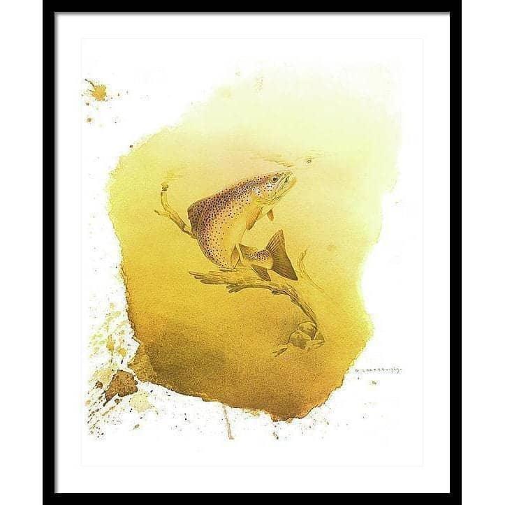 Brown Trout - Framed Print | Artwork by Glen Loates