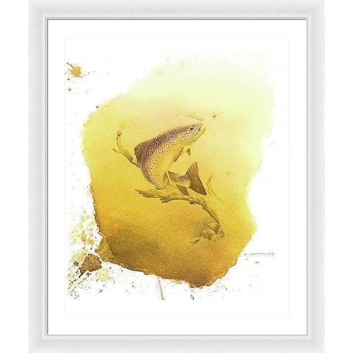 Brown Trout - Framed Print | Artwork by Glen Loates