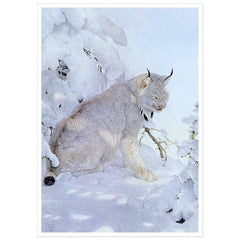 Giclée on Paper