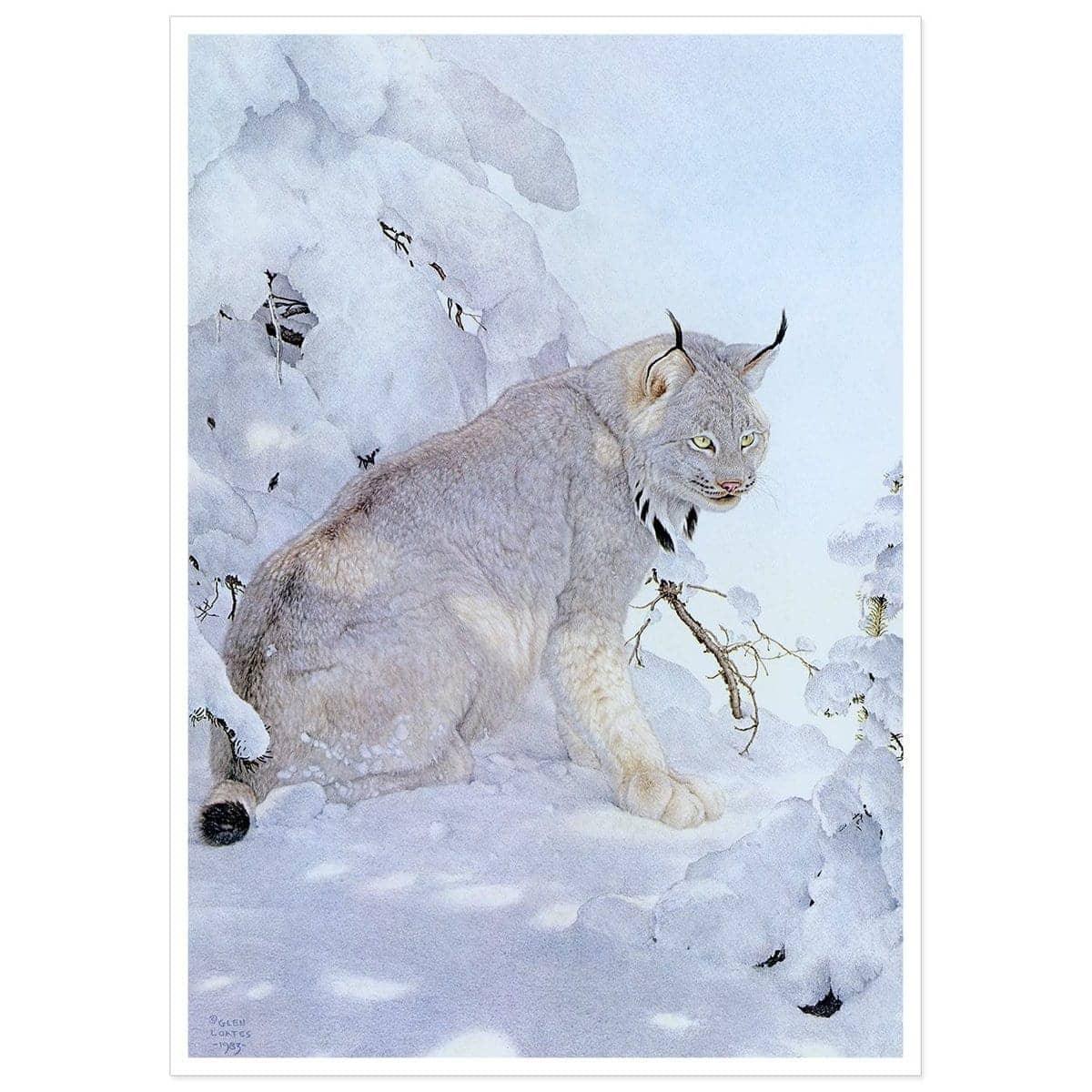 Canada Lynx - Art Print | Artwork by Glen Loates