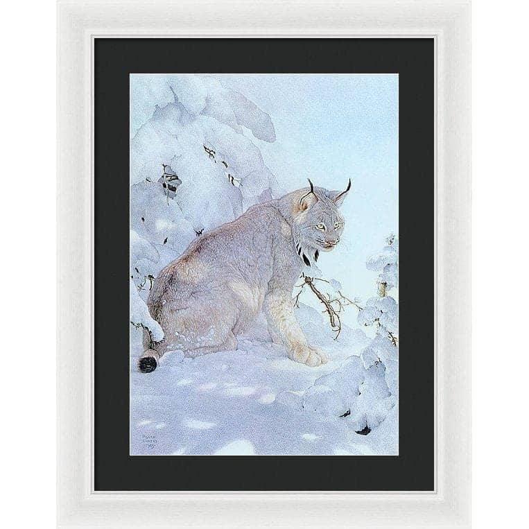 Canada Lynx - Framed Print | Artwork by Glen Loates