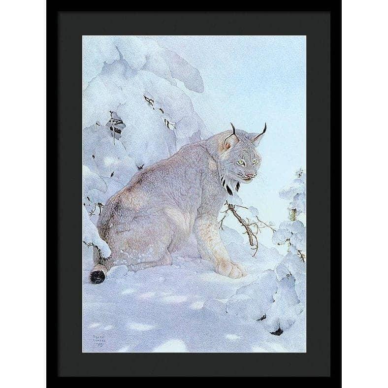 Canada Lynx - Framed Print | Artwork by Glen Loates