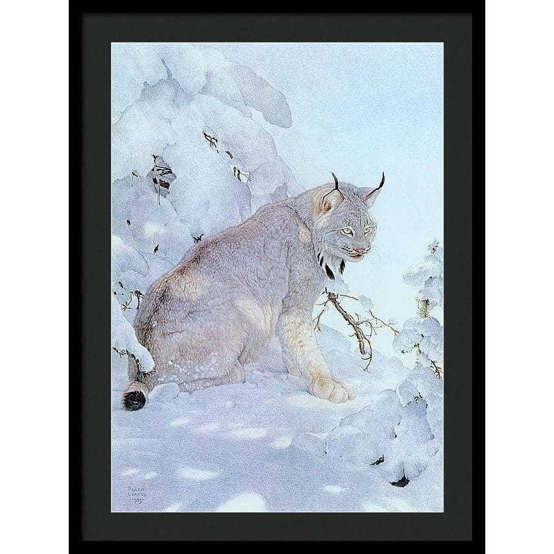 Canada Lynx - Framed Print | Artwork by Glen Loates