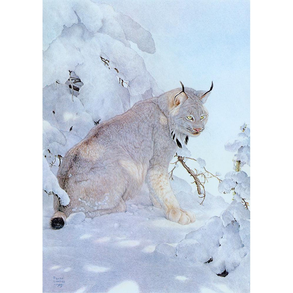 Canada Lynx - Framed Print | Artwork by Glen Loates