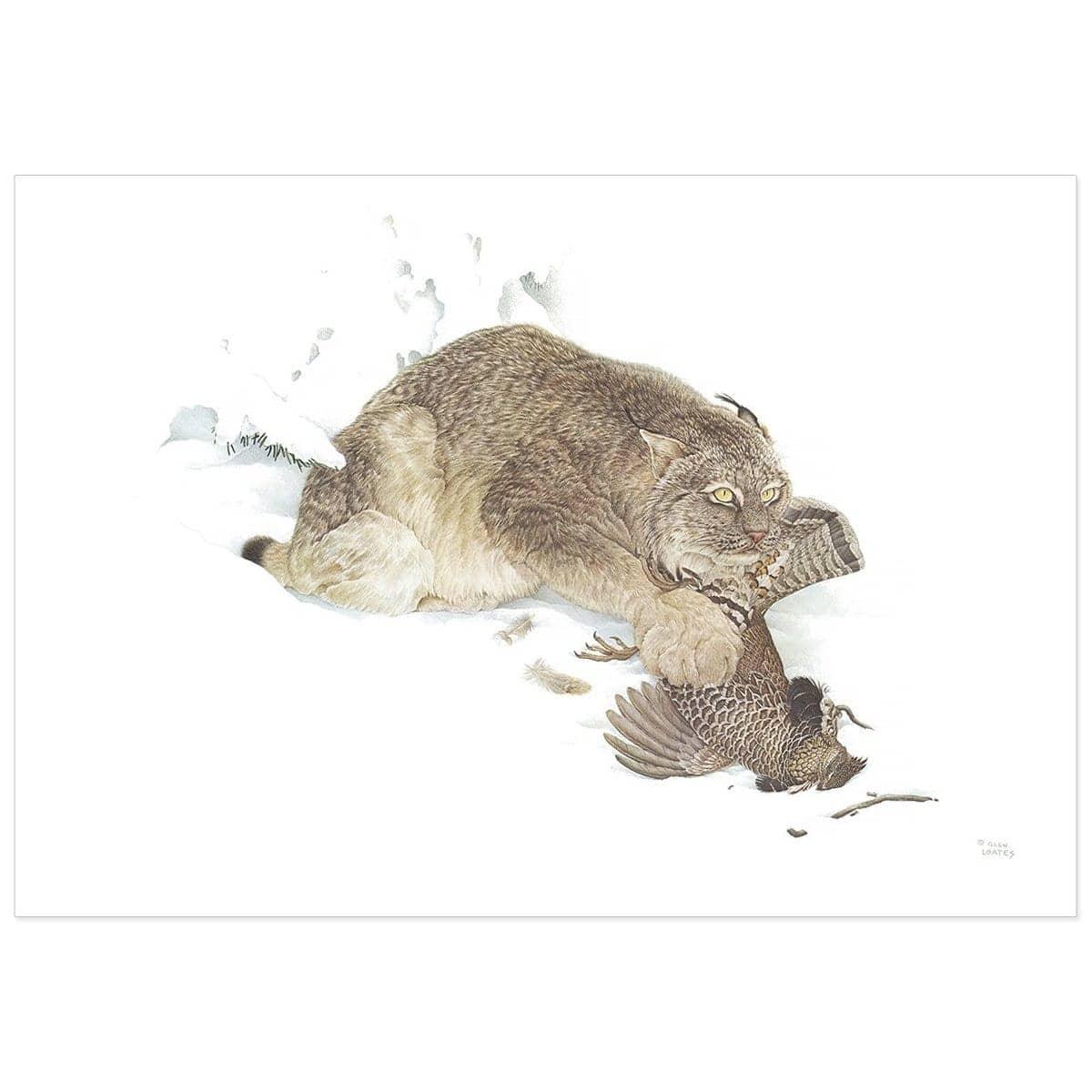Canada Lynx With Ruffed Grouse - Art Print | Artwork by Glen Loates