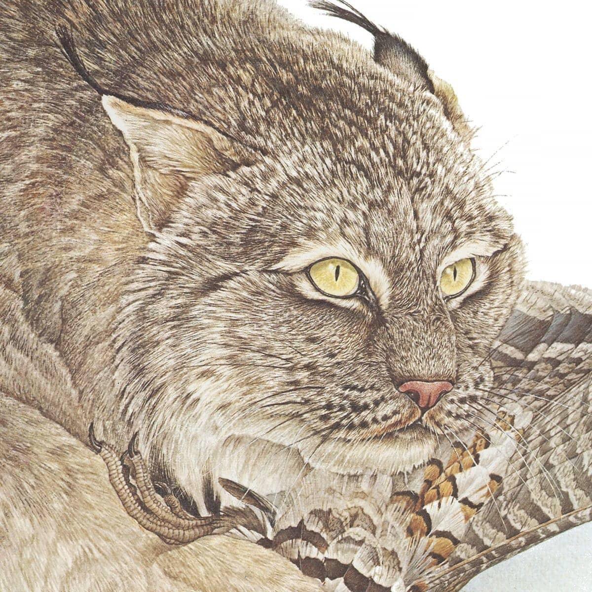 Canada Lynx With Ruffed Grouse - Art Print | Artwork by Glen Loates