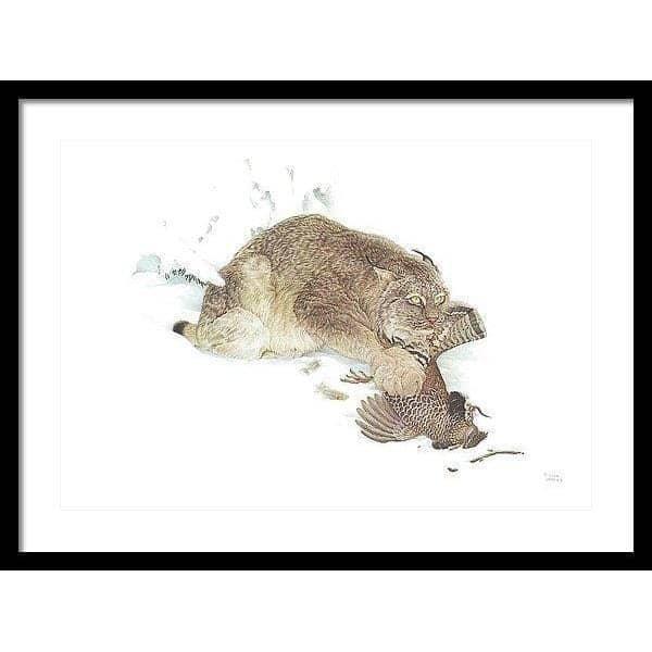 Canada Lynx with Ruffed Grouse- Framed Print | Artwork by Glen Loates
