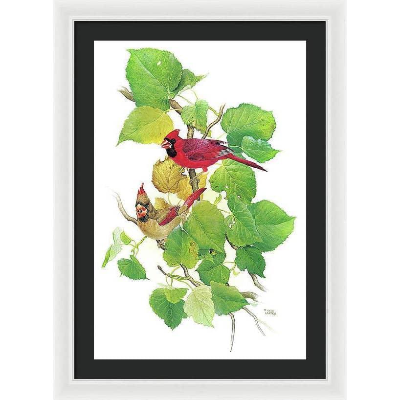 Cardinals - Framed Print | Artwork by Glen Loates