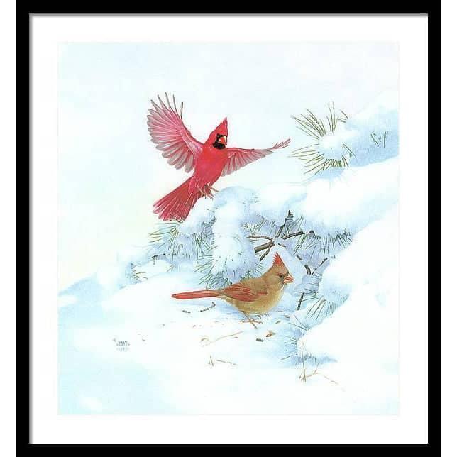 Cardinals in Snow - Framed Print | Artwork by Glen Loates