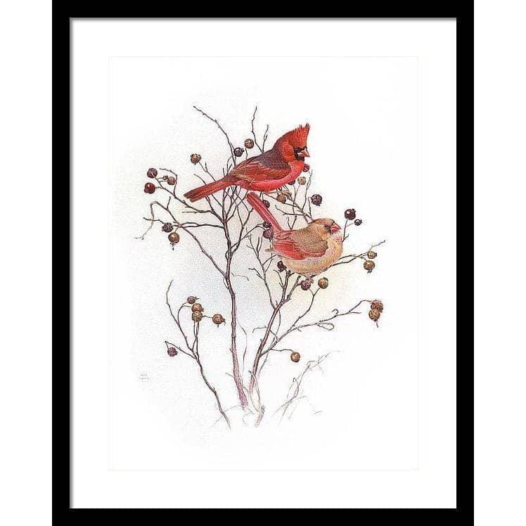 Cardinals on Rosehip Bush - Framed Print | Artwork by Glen Loates