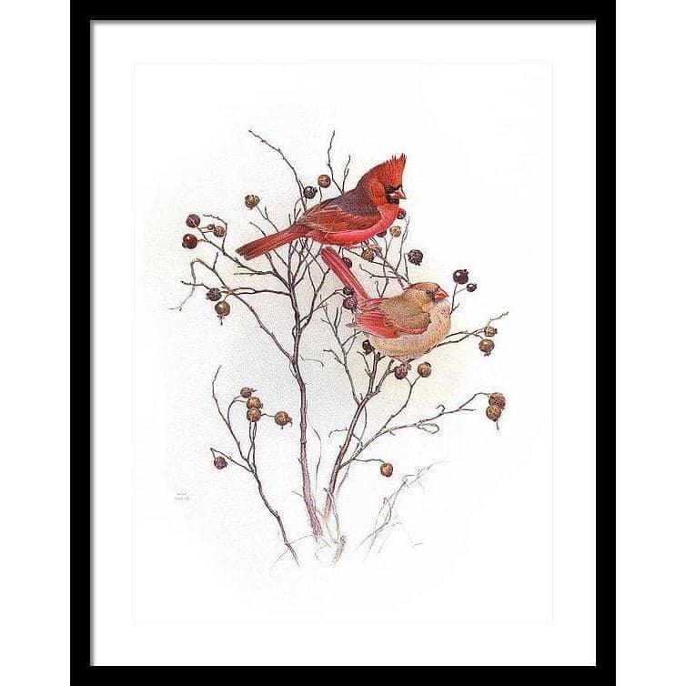 Cardinals on Rosehip Bush - Framed Print | Artwork by Glen Loates