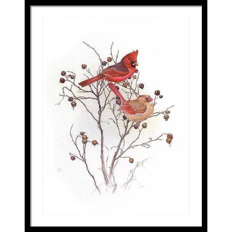 Cardinals on Rosehip Bush - Framed Print | Artwork by Glen Loates