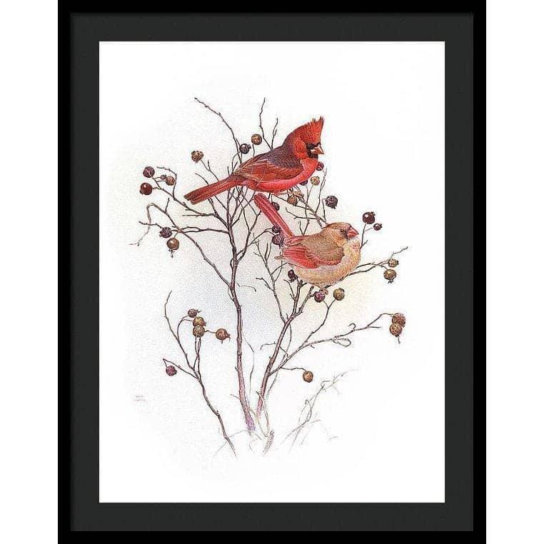 Cardinals on Rosehip Bush - Framed Print | Artwork by Glen Loates